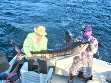 Cabo San Lucas Report Photo 1
