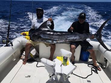 San Jose del Cabo Report Photo 1