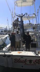 San Jose del Cabo Report Photo 2