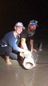 New Smyrna Beach Report Photo 2
