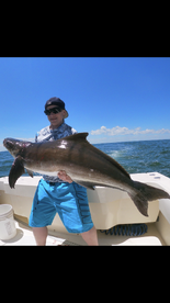 Gloucester Point Report Photo 2