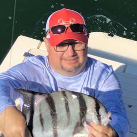 Gloucester Point Report Photo 1