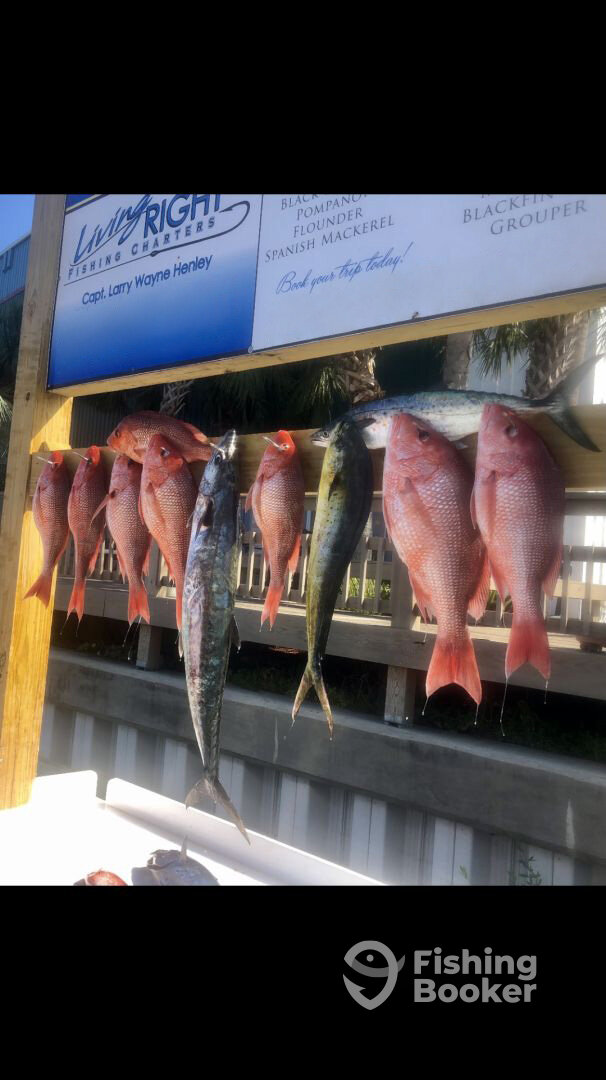 Destin Report Photo 0