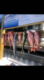 Living Right Fishing Charters