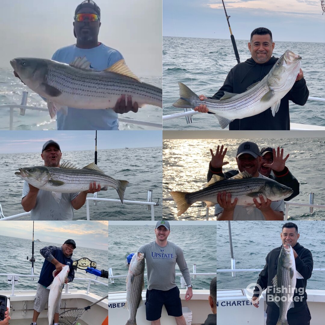 Montauk Report Photo 0