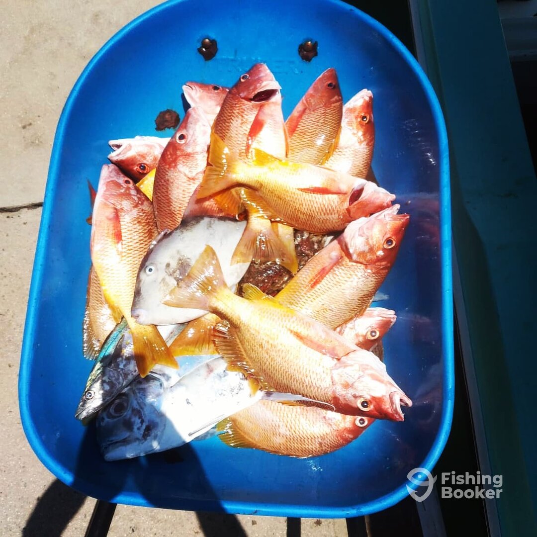 San Jose del Cabo Report Photo 0