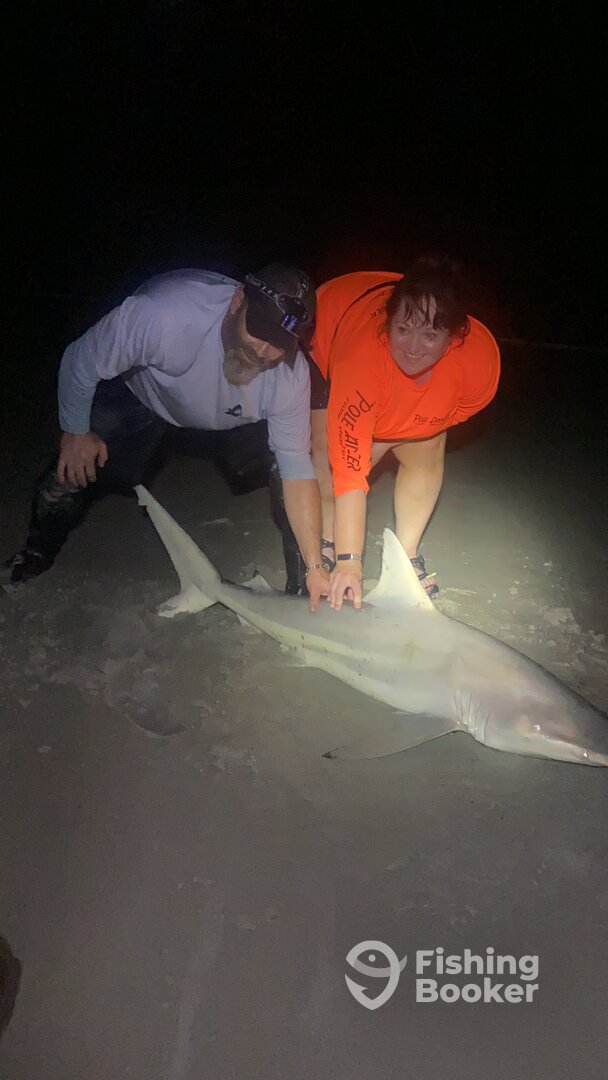 New Smyrna Beach Report Photo 0