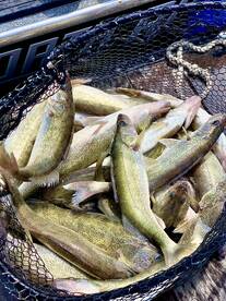 Lakeside Marblehead Report Photo 2