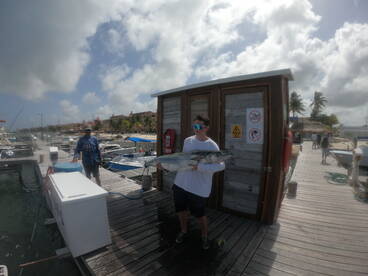 Cancún Report Photo 1