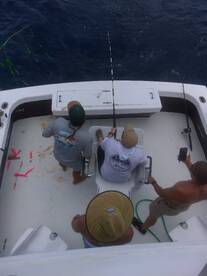 Wanchese Report Photo 2