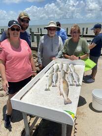 Galveston Report Photo 1