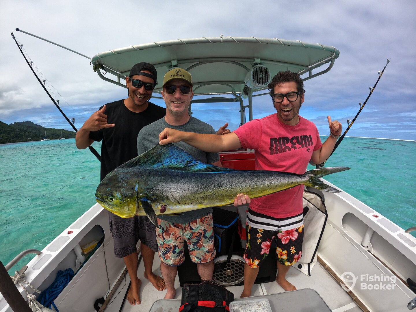 Moorea-Maiao Report Photo 0