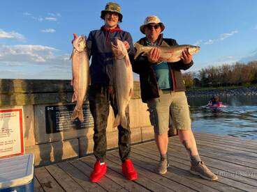 Special Rules for Taking Trout and Salmo