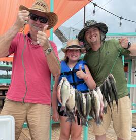 Grapevine Report Photo 2