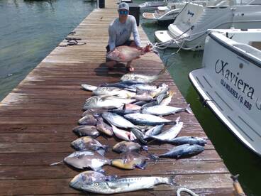 8 hours pleny of action 