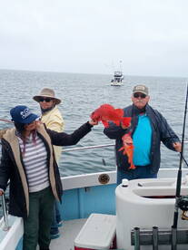 Ensenada Report Photo 1