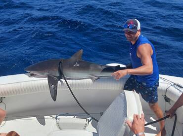 getting ready for the release