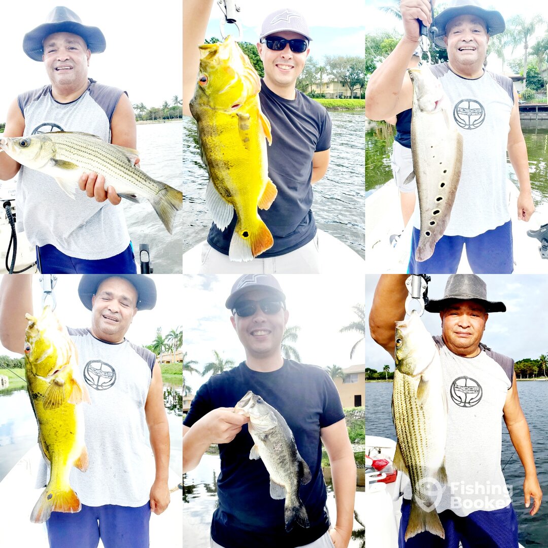 Delray Beach Report Photo 0