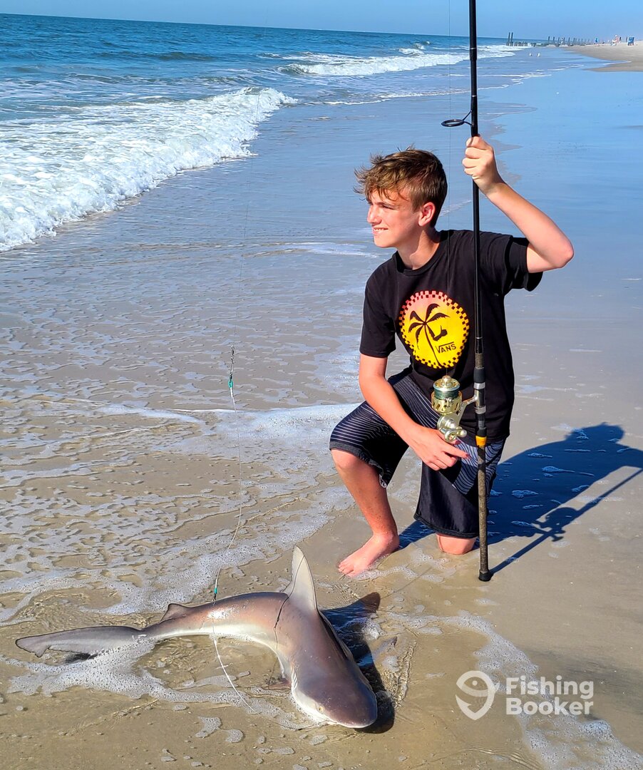 Stone Harbor Report Photo 0