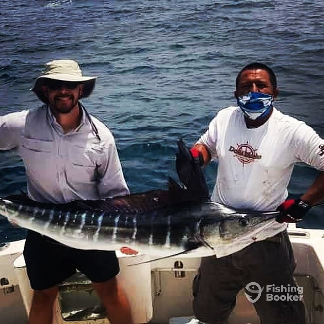 San Jose del Cabo Report Photo 0