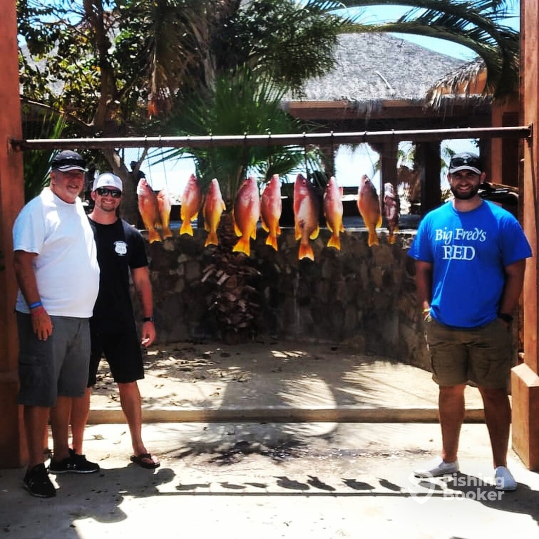 San Jose del Cabo Report Photo 0