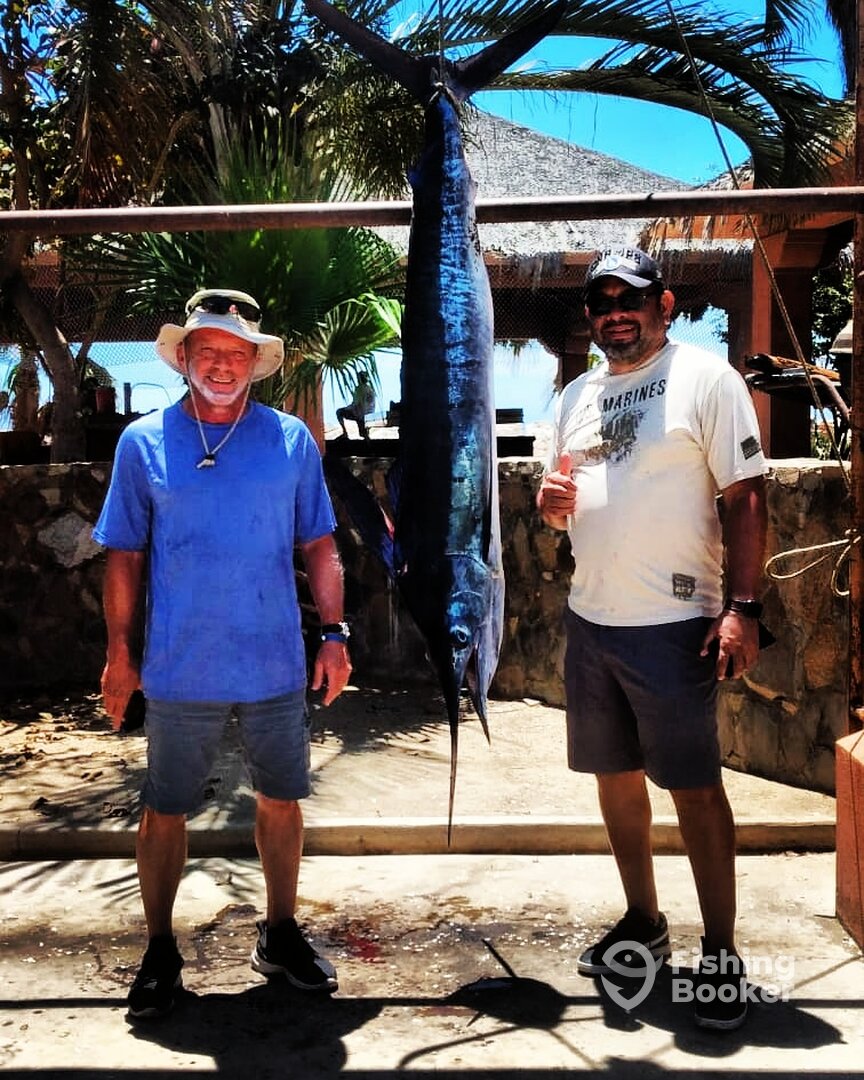 San Jose del Cabo Report Photo 0
