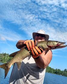 Figure 8 Muskie