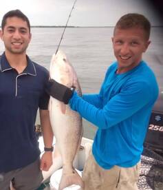 Shark/Harbor Fishing