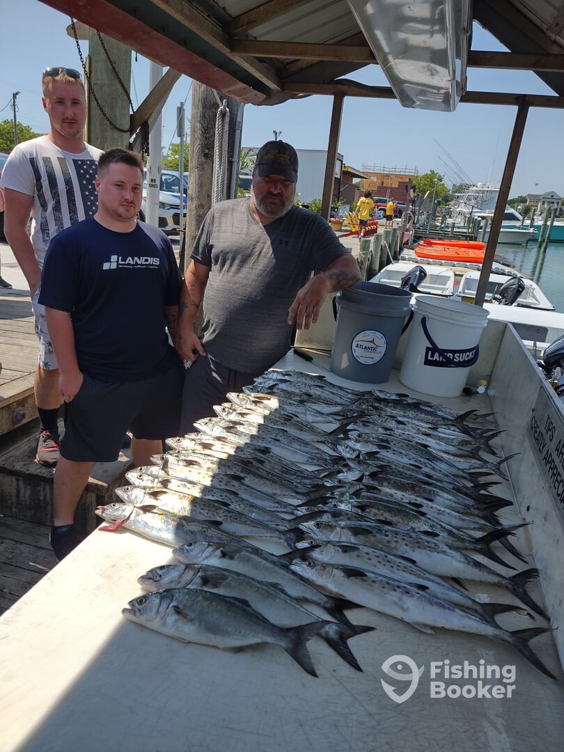 Ocean City Report Photo 0
