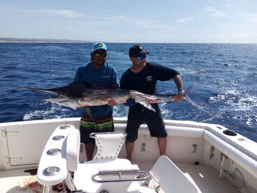 San Jose del Cabo Report Photo 1