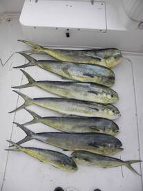 Hatteras Report Photo 1