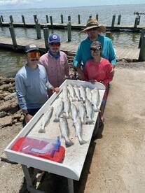 Galveston Report Photo 1