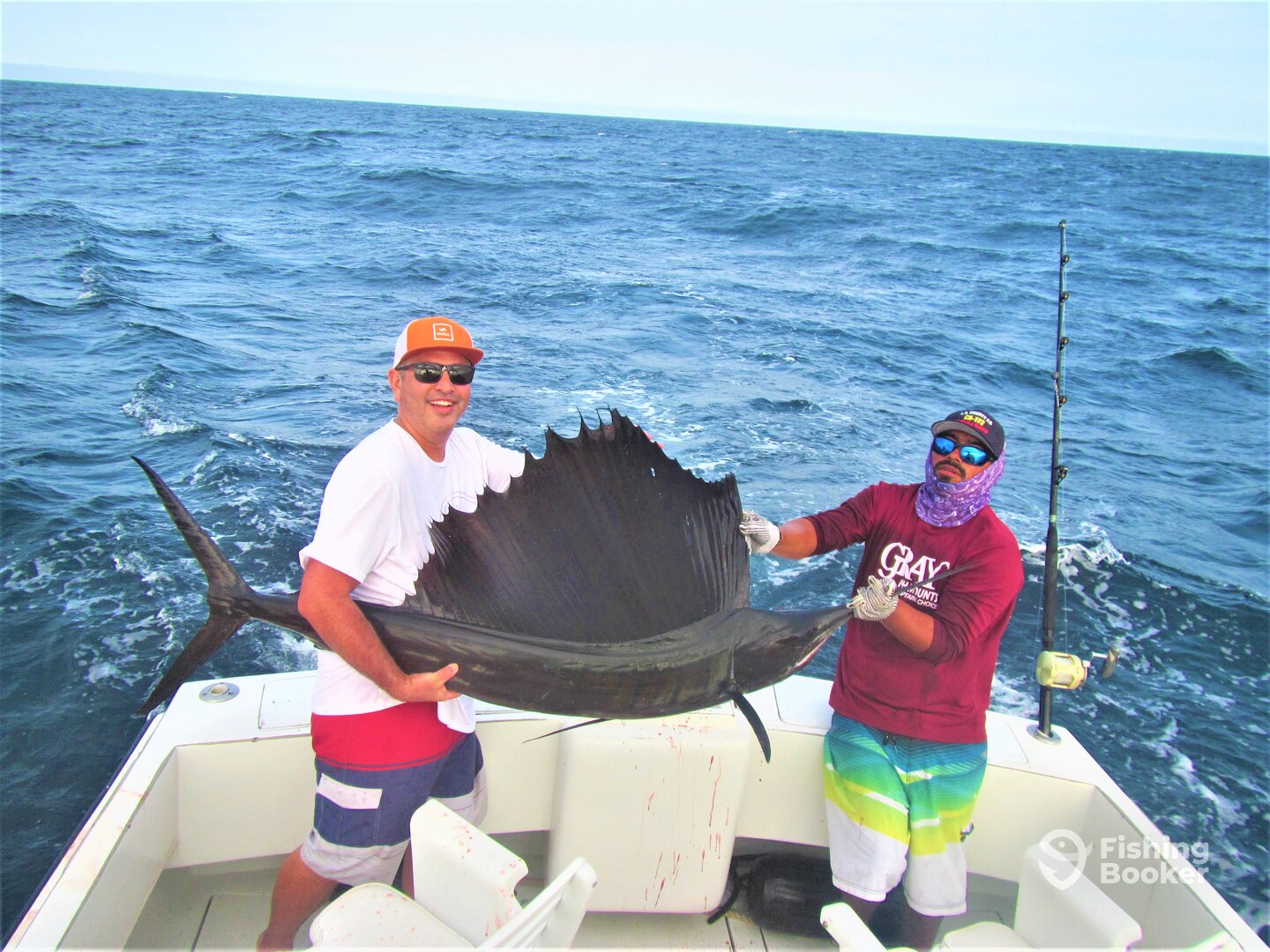Cabo San Lucas Report Photo 0