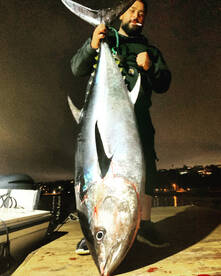 Huntington Beach Report Photo 2
