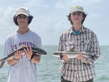 Sarasota Report Photo 2