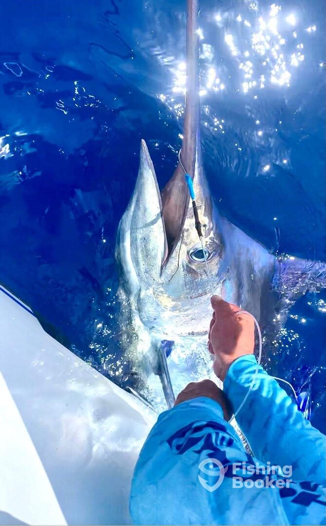 Calheta Report Photo 0