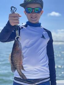 Sarasota Report Photo 2