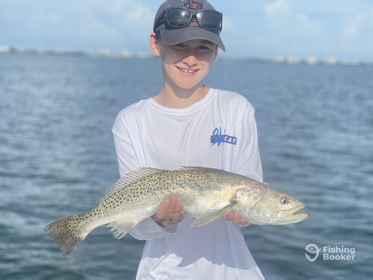 Sarasota Report Photo 0