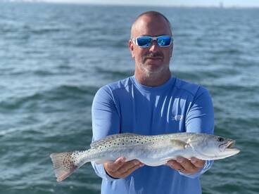 Sarasota Report Photo 1