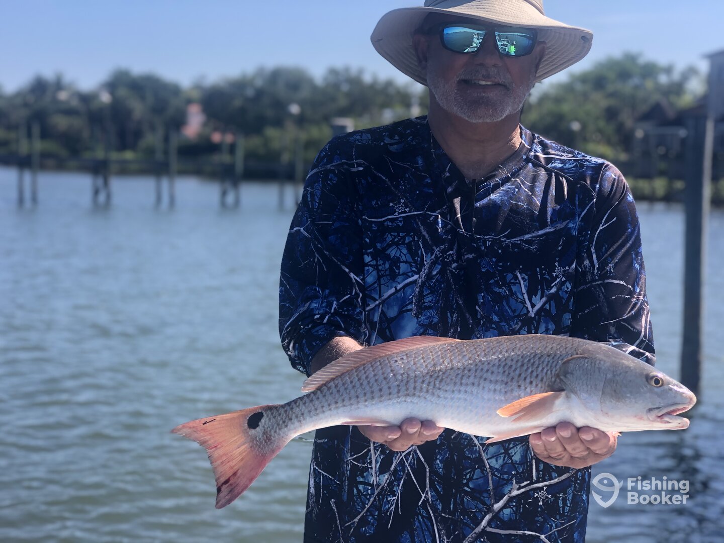 Sarasota Report Photo 0