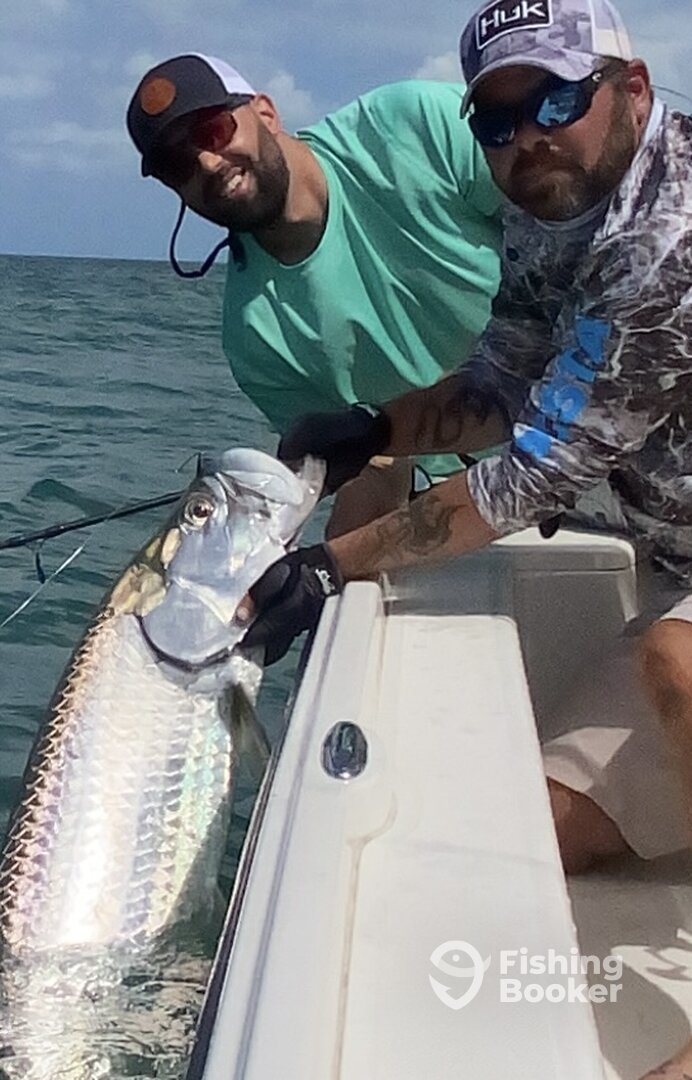 Sarasota Report Photo 0