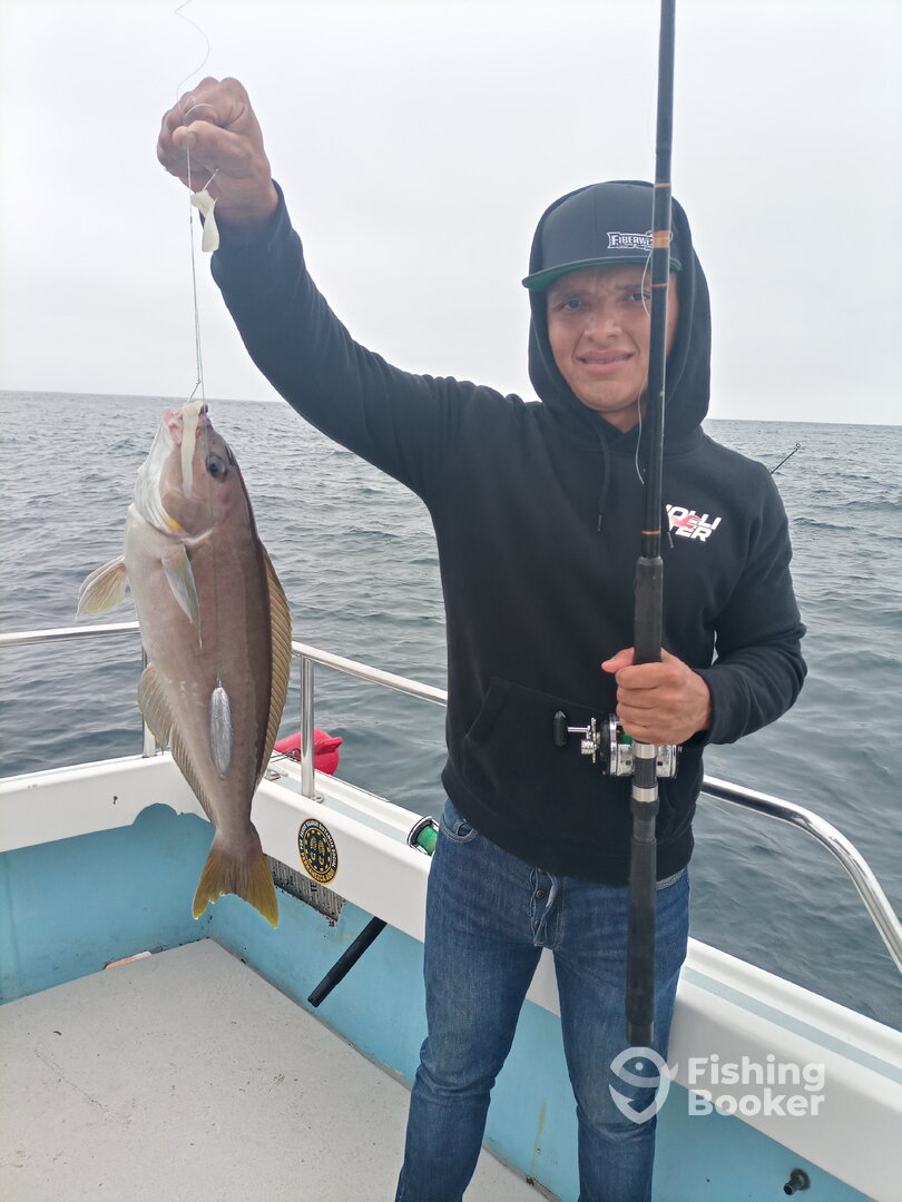 Ensenada Report Photo 0