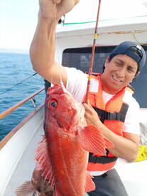 Ensenada Report Photo 1