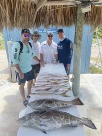 The reef has been on fire!