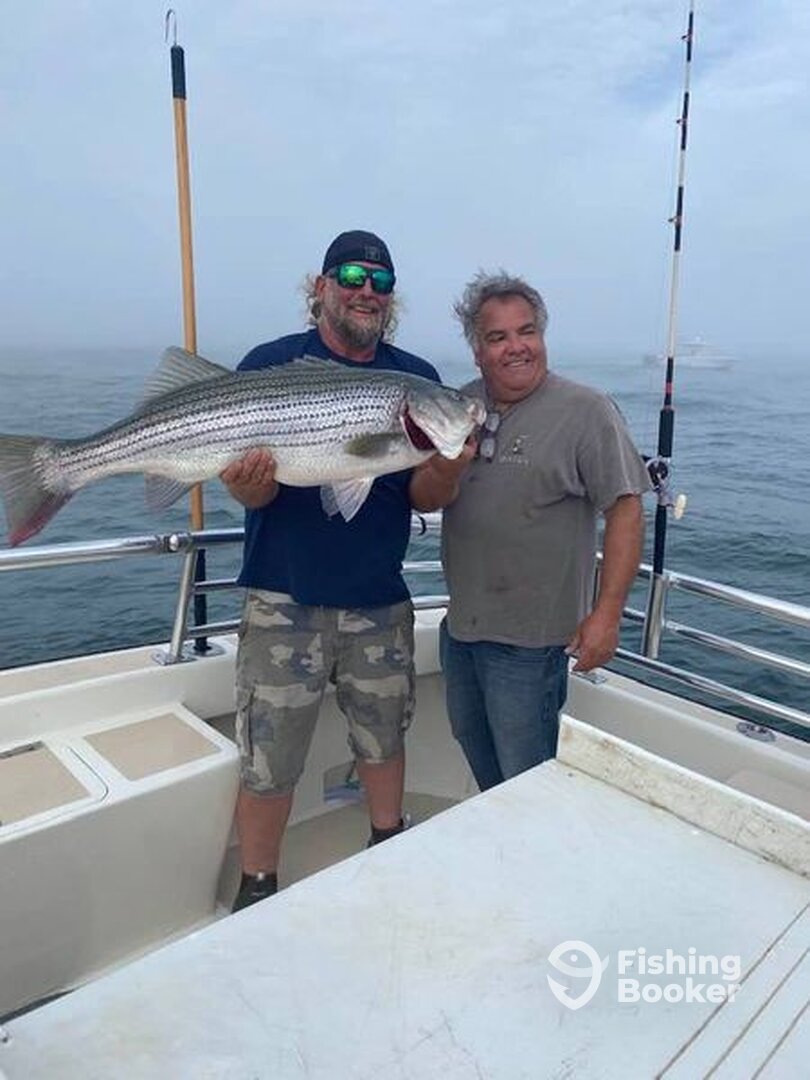 Montauk Report Photo 0