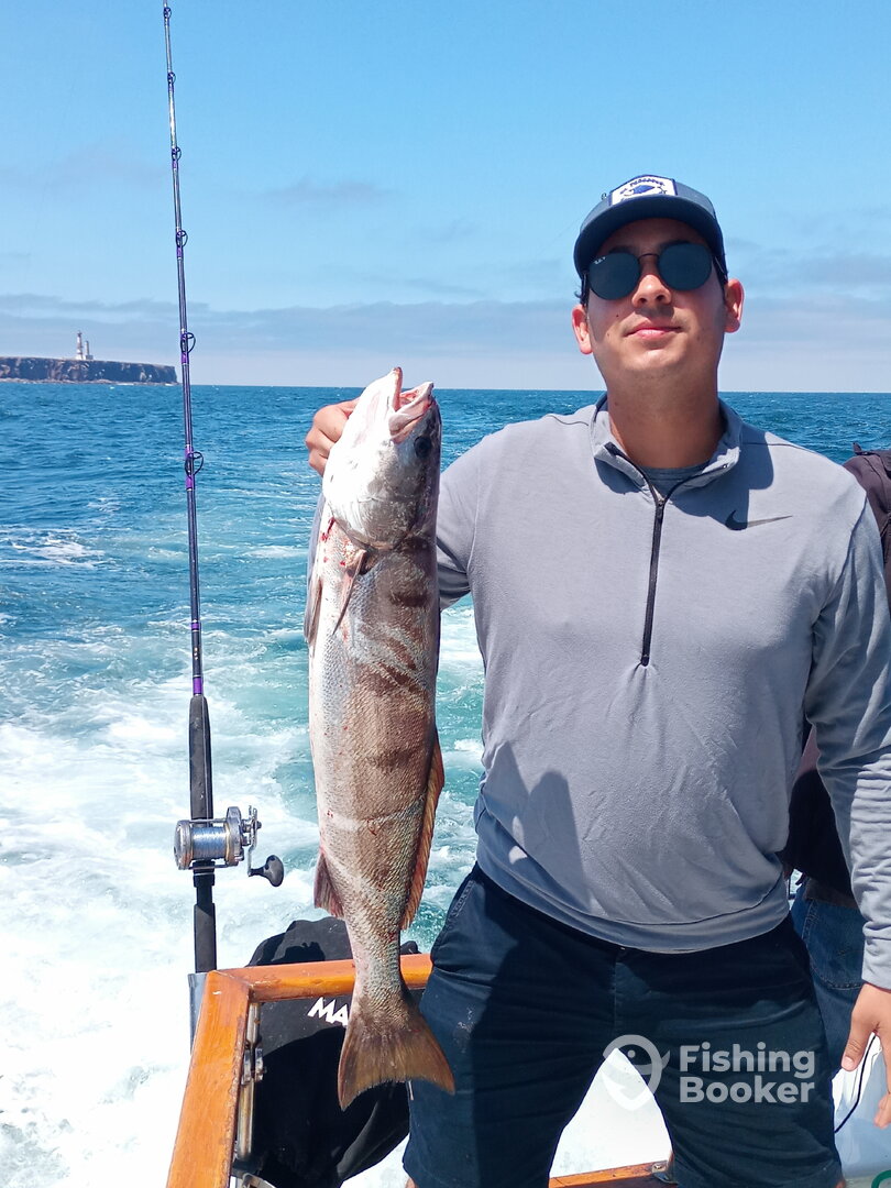 Ensenada Report Photo 0