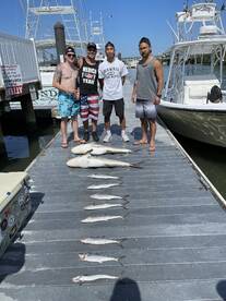 Virginia Beach Report Photo 2