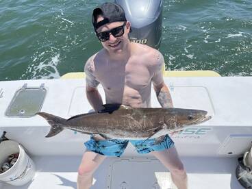 Virginia Beach Report Photo 1