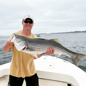 Light tackle Slob Striped Bass