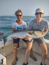 HUGE STRIPED BASS!!